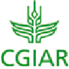 Consultative Group on International Agricultural Research - CGIAR - BBC News<br />