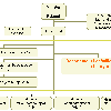 LNE organigram